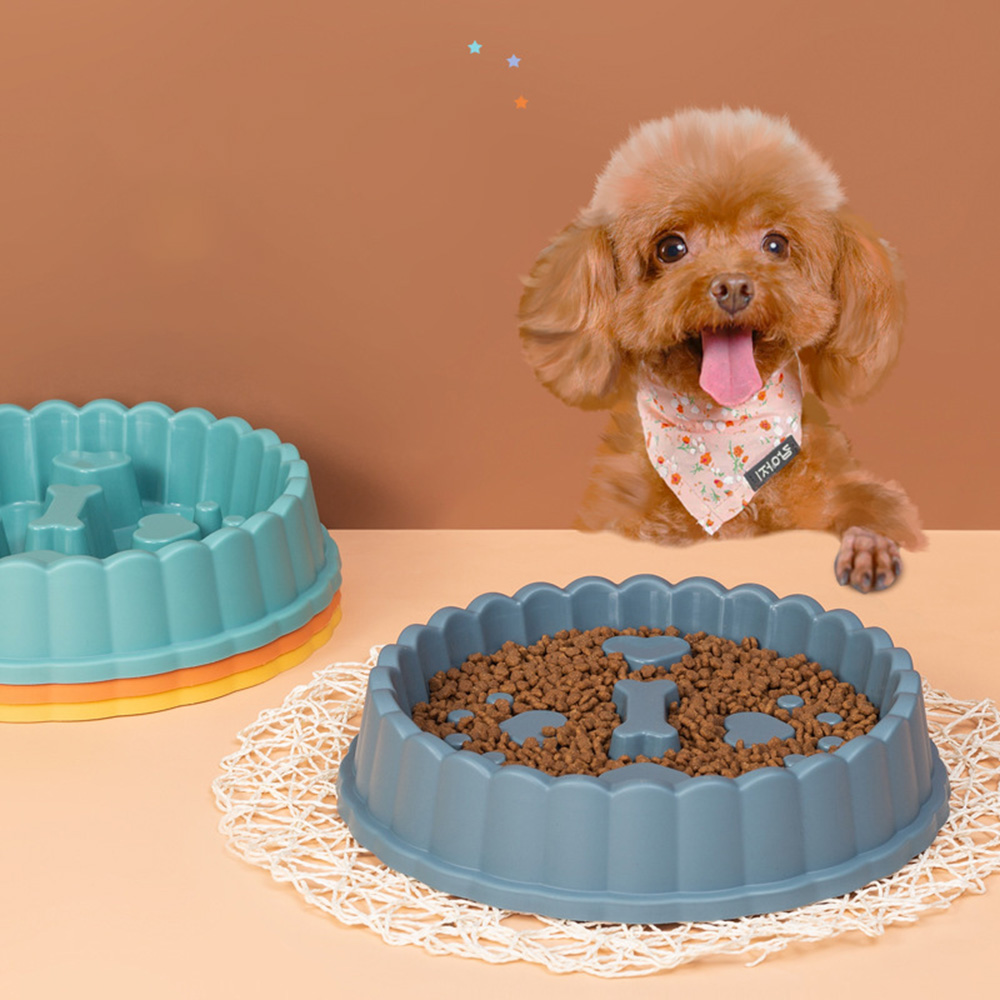 Anti-Choking Slow Feeder Dog B - Slow Feeder Dog Bowl recension och pris