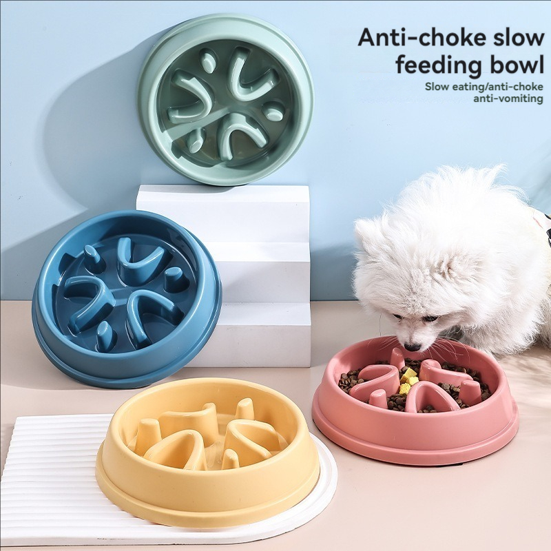 Pet Supplies Dogs and Cats Slo - Slow Feeder Dog Bowl recension och pris
