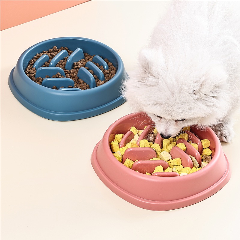 Pet Supplies Dogs and Cats Slo - Slow Feeder Dog Bowl recension och pris