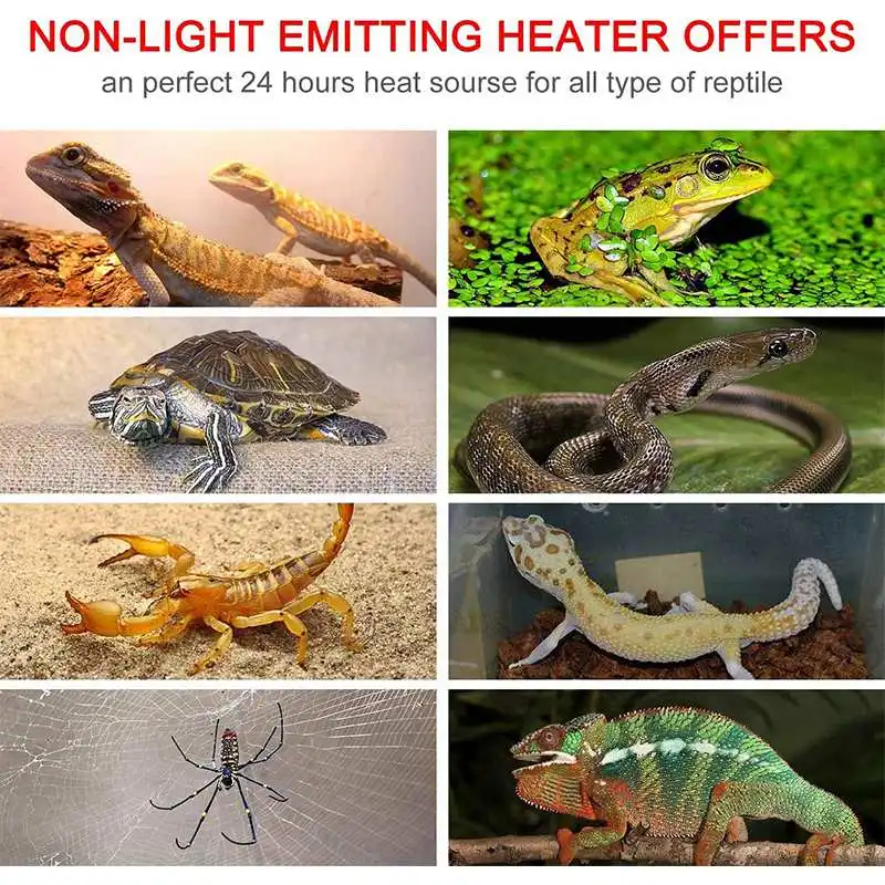 5W-20W 110V Heating Warm Pad f - Reptile Heating Mat recension och pris