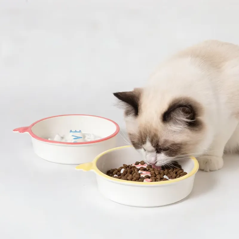 Ceramic Leak Proof Slow Feeder - Slow Feeder Dog Bowl recension och pris