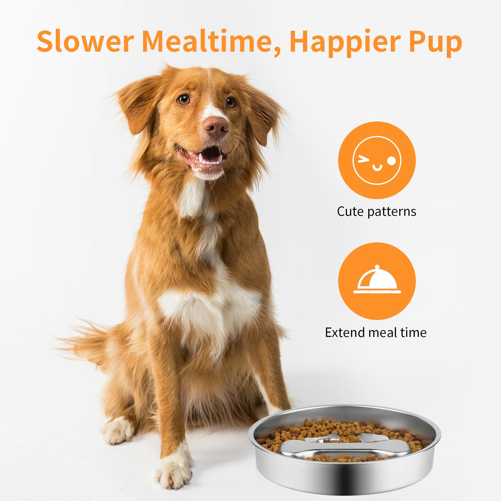 Slow Feeder Dog Bowl, Metal No - Slow Feeder Dog Bowl recension och pris