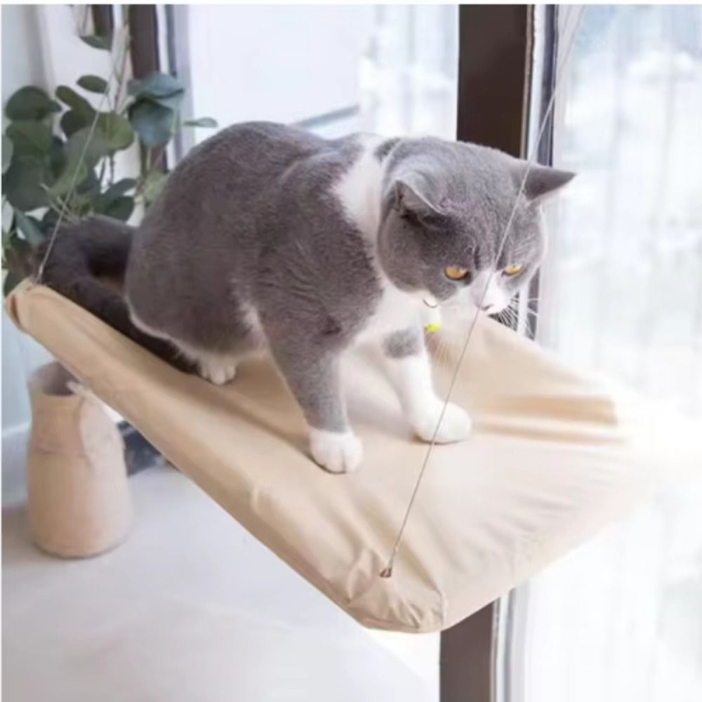 Multifunction Creative Cat Han - Pet Supplies Delivery recension och pris