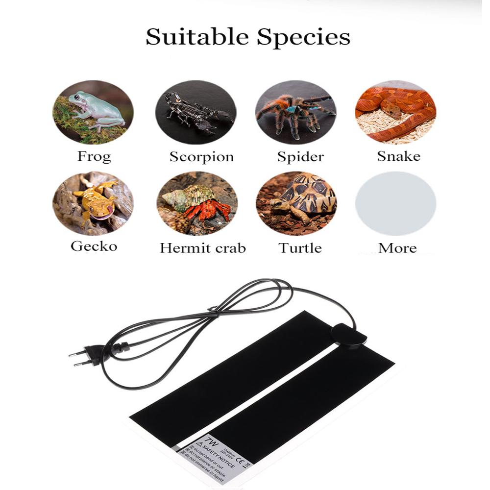 AC110V~240V Reptiles Incubator - Reptile Heating Mat recension och pris