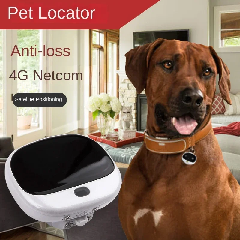 Mini 4G LTE 2G GSM Dog Gps Loc - Pet Supplies App recension och pris